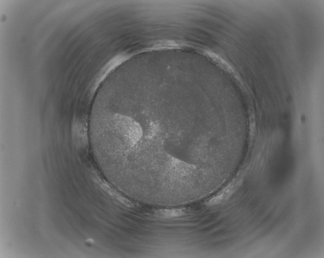 X0000078841409200611201302