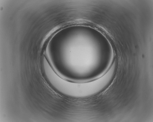 X0000078841410200611201302