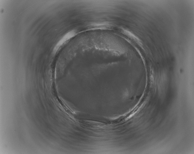 X0000078841411200611201302