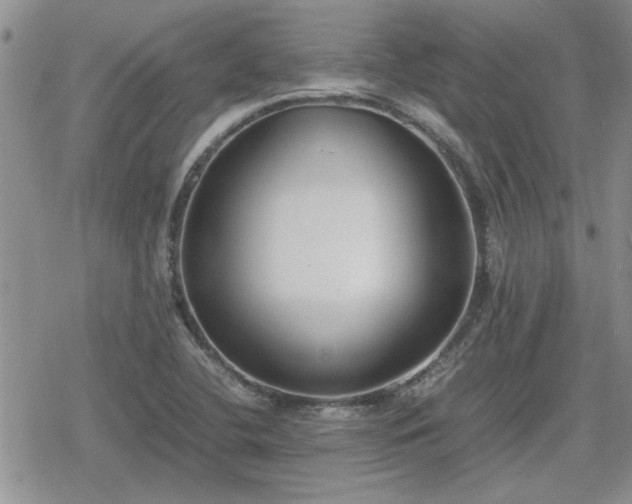 X0000078841412200611201302