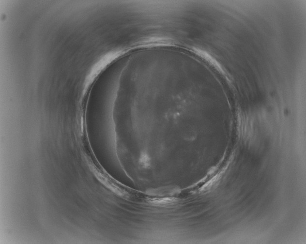 X0000078841413200611201302