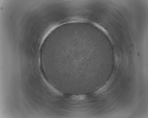 X0000078841415200611201302