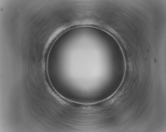 X0000078841416200611201302