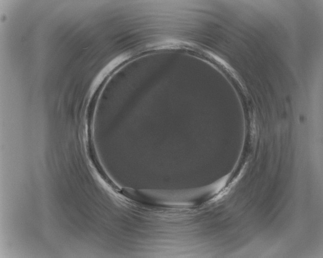 X0000078841418200611201302