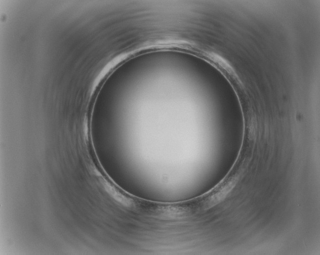 X0000078841420200611201302