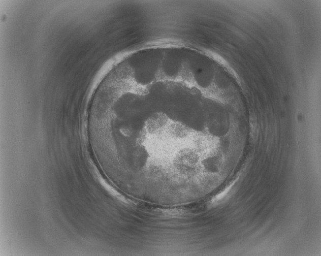 X0000078841421200611201302