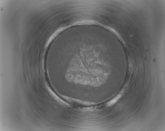 X0000078841422200611201302