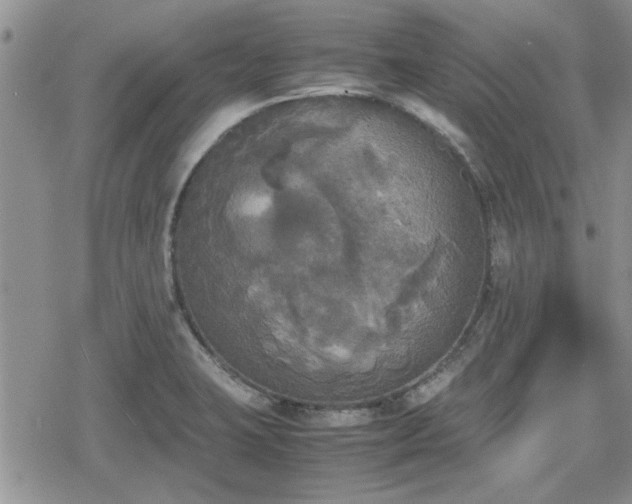 X0000078841423200611201302