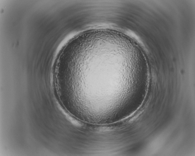 X0000078841424200611201302