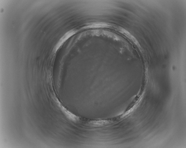 X0000078841425200611201302