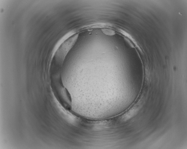 X0000078841426200611201302