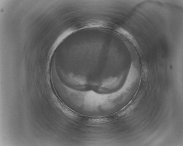 X0000078841427200611201302