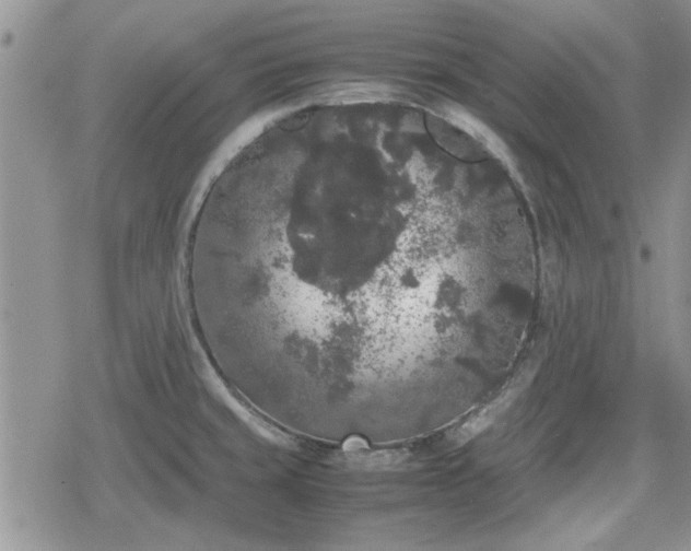 X0000078841429200611201302