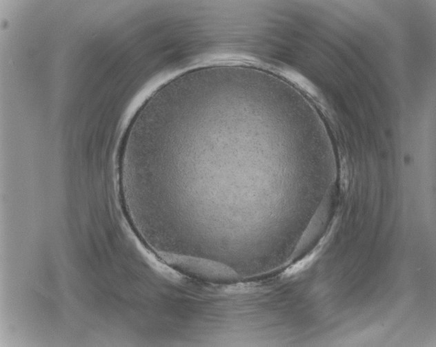 X0000078841430200611201302