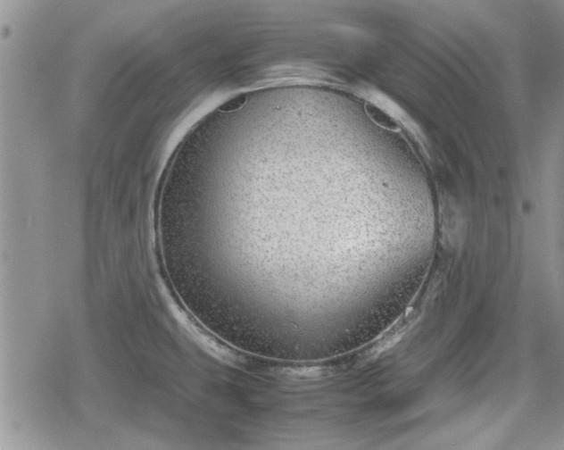 X0000078841431200611201302