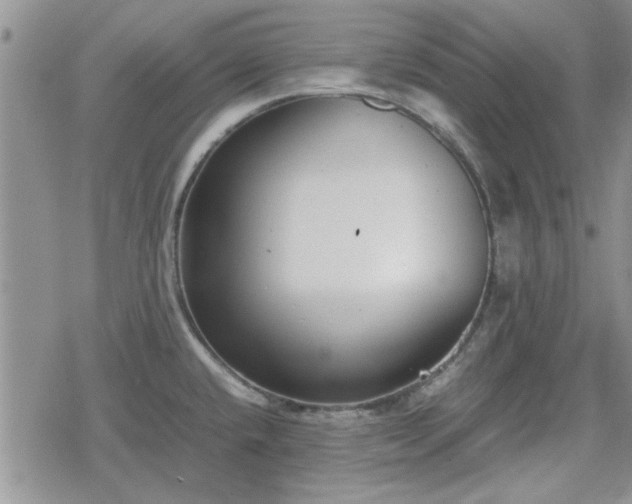 X0000078841432200611201302