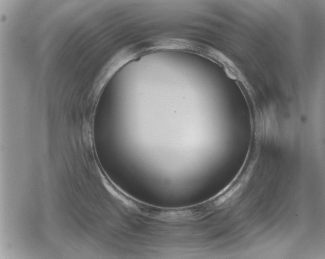 X0000078841433200611201302