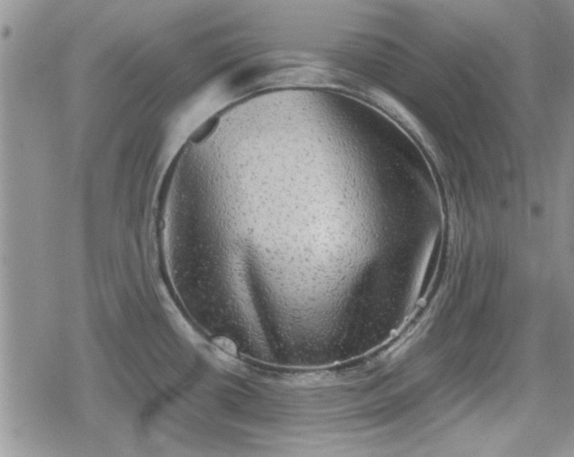 X0000078841434200611201302