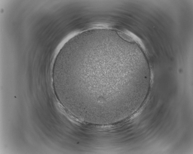 X0000078841435200611201302