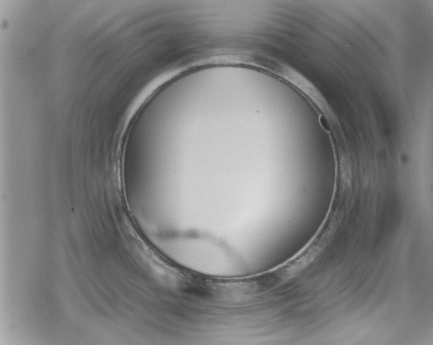 X0000078841436200611201302