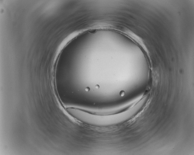 X0000078841437200611201302