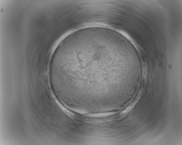 X0000078841438200611201302