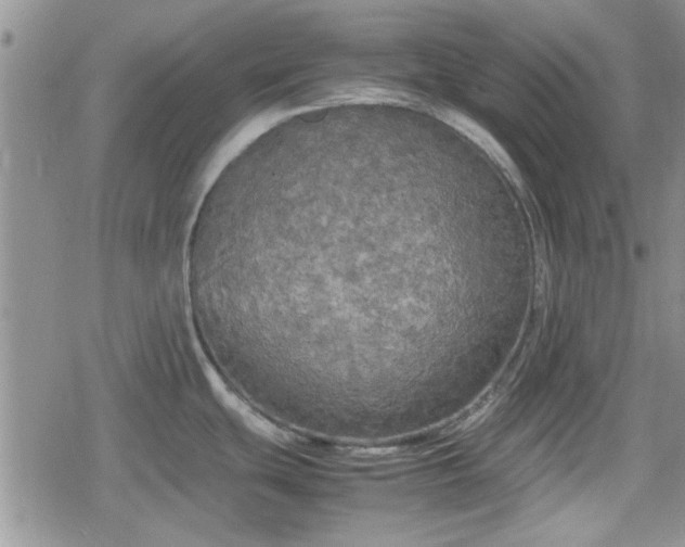 X0000078841439200611201302