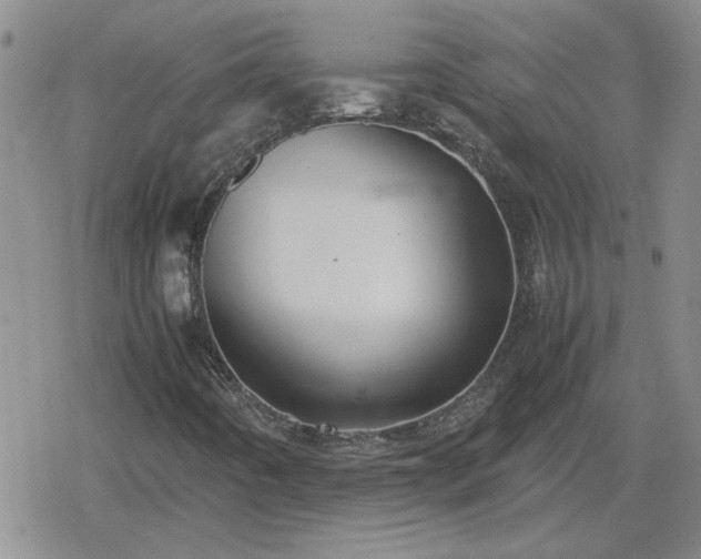 X0000078841442200611201301