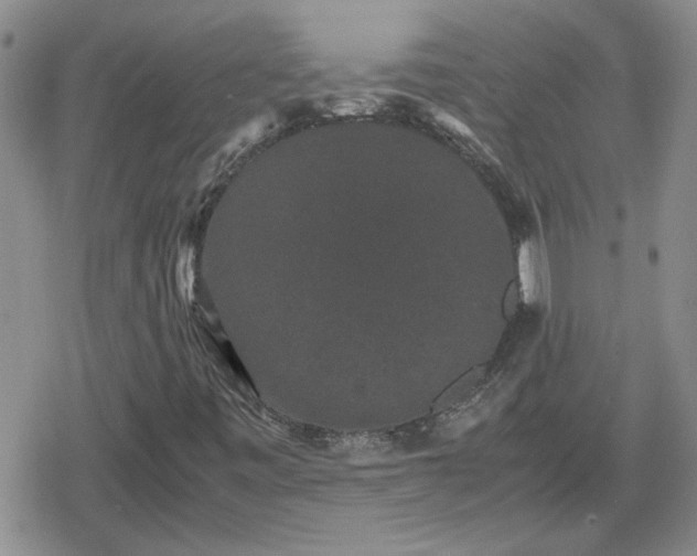 X0000078841443200611201301