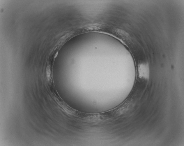 X0000078841444200611201301