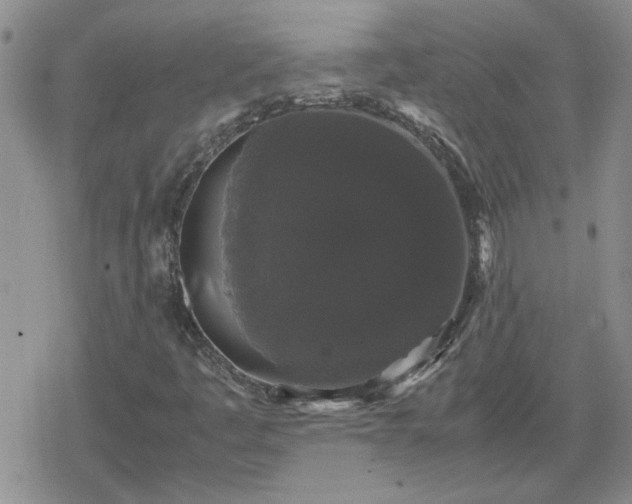 X0000078841445200611201301