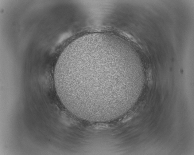 X0000078841446200611201301