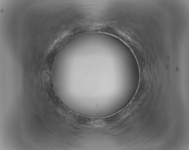 X0000078841447200611201301