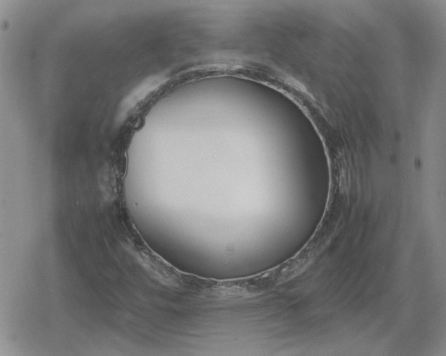 X0000078841448200611201301