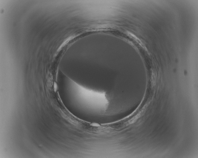 X0000078841449200611201301