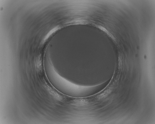 X0000078841450200611201301