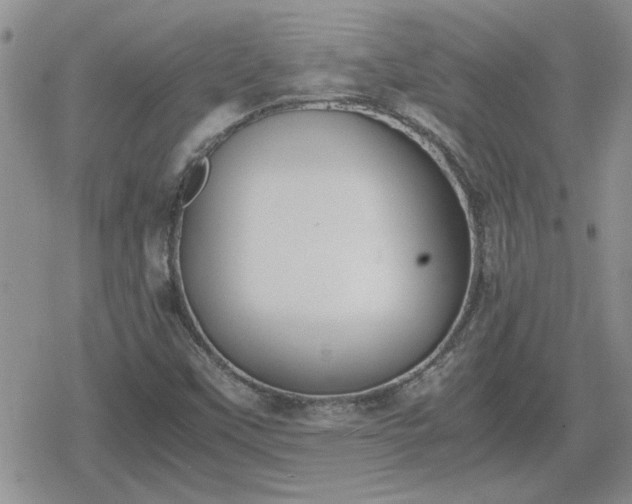 X0000078841451200611201301