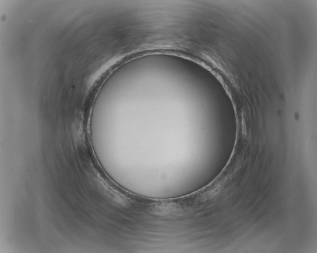 X0000078841452200611201301