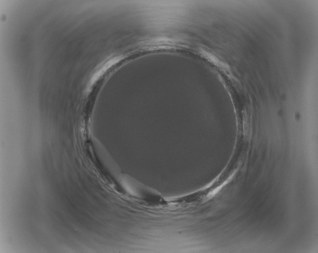 X0000078841453200611201301