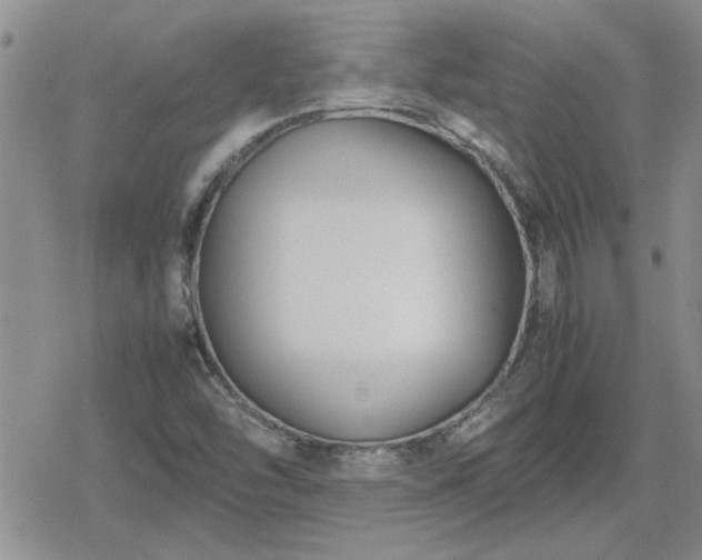 X0000078841454200611201301