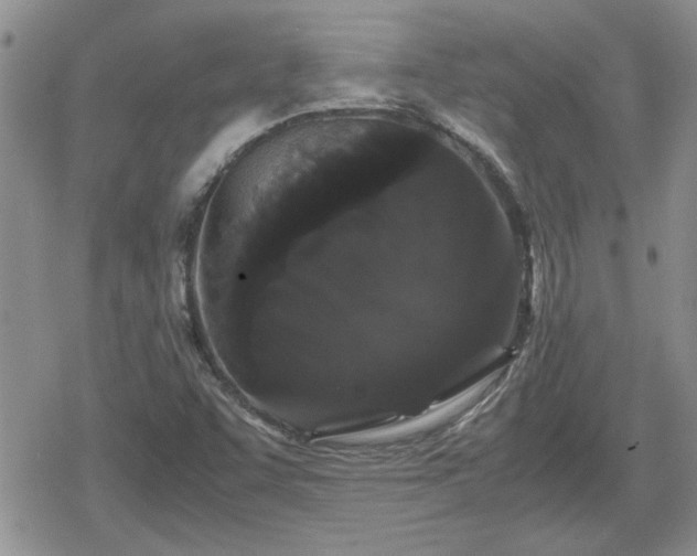 X0000078841455200611201301