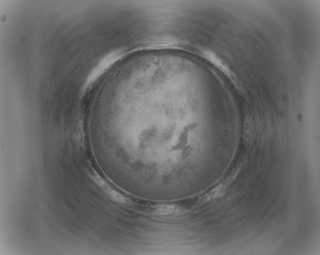 X0000078841456200611201301