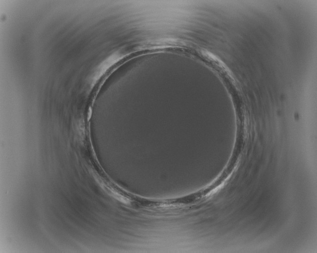 X0000078841457200611201301