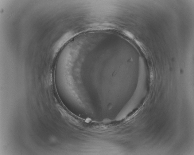 X0000078841459200611201301