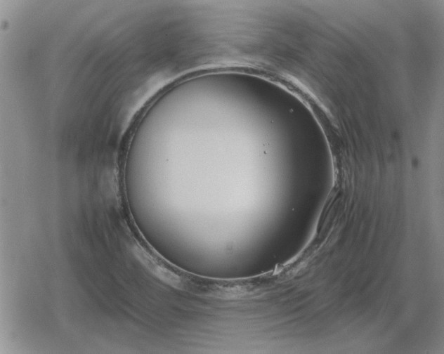 X0000078841460200611201301