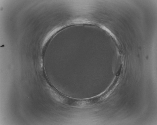 X0000078841461200611201301