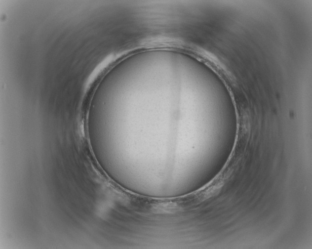 X0000078841462200611201301