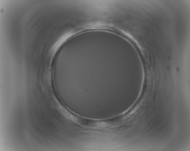 X0000078841463200611201301