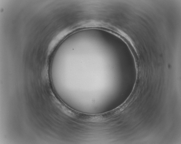 X0000078841464200611201301