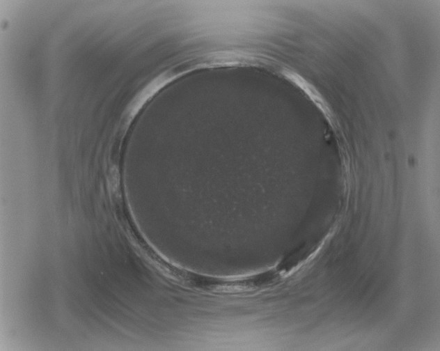 X0000078841465200611201301